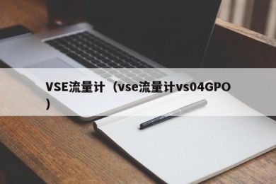 VSE流量计（vse流量计vs04GPO）