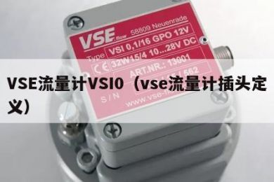 VSE流量计VSI0（vse流量计插头定义）